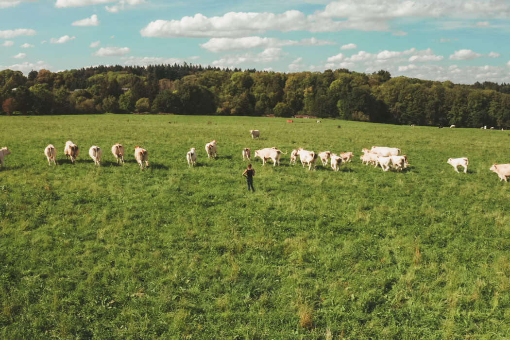 &copy; Ferme Le Moulin de la Baronne